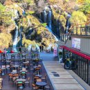 청년카페 야외 이미지