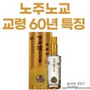 GS25 대곡다솜점 | 노주노교 특곡 두곡 대곡 교령 60년 특징 및 문정역 몽중헌 콜키지 후기