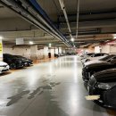 동백아나고 | 용인 동백 맛집 도요텐동 아나고텐동 에비텐동 후기