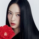정수정헤어 이미지