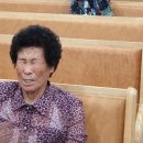 새샘교회 이미지