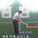 골프신지환 이미지
