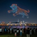 블루모터스정비 이미지