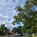 말순농장 | [호주 워홀] D+16, 첫 대면 면접_양공장