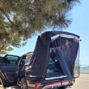 비데랜드(주) 이미지