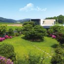 아이드림펫 이미지