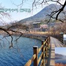 동동동심원 티스토리