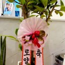 로얄치과기공소 이미지