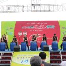 정석 합기도 이미지