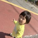 고라농장 | 일상모음집 ( 소마큐브 후기, 미가훠궈, 우리집 애완동물들, 어린이날 선물)