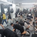 강화 용인대 복싱클럽 이미지