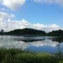 김인수공인중개사사무소 이미지