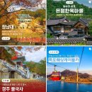 한국관광공사 서포터즈 활동 후기, 우수서포터즈상 수료
