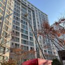 제이케이세종학원 | [2025. 11.] 우당탕탕 8년차 39평 아파트 셀인 후기 (1) 인트로