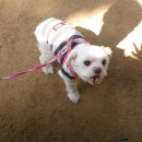 강림농장 이미지