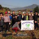 양성농산 이미지