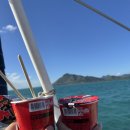 ㅎ | 7월 신혼여행] 돌고래 투어인줄 알았지만 여행사의 실수로 호핑투어를 해버린 허니문 커플의 솔직후기 ..ㅎ