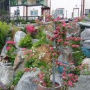 미르하우스1157 이미지