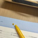 안녕하세요 4월 일상입니다