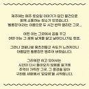 동녘에 머문 청춘 민박 | 동녘에 머문 청춘 여행자 후기🏝️