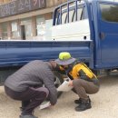 강화자동차 이미지