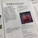 퍼폼2019 : 린킨아웃 이미지