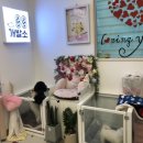 88개발소 이미지