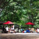 주록리계곡 루돌프 이미지