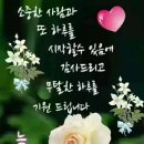 Phil Coulter (필 코울터) - Star Of The Sea 이미지