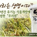 오색식품