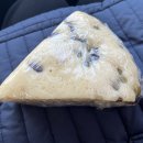 [부산쌀빵] 해운대 비건빵집 미샘쌀빵 다녀온 후기
