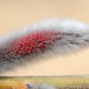 구름자리 이미지