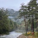 책향기어린이공원 | 평창 아이와 가볼만한 곳│국립조선왕조실록박물관 + 오대산 전나무 숲길 하루 코스