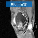 베이커마스터 이미지