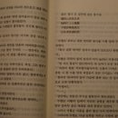 미인스토리