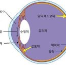 눈 속의 하수구 이미지