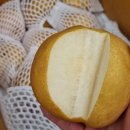 한아름청과 이미지