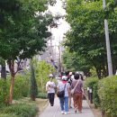 봉평메밀촌 이미지