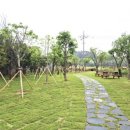 도고초등학교 이미지