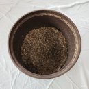보신정 | 당진 촌가보신정 : 몸보신으로 딱인 흑염소탕 후기/냄새가 나지 않아 좋아요