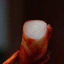 하루분식 이미지