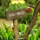 [서포터즈소식] SG-Bio 기술사업화 지원사업 세미나