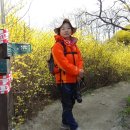 개나리공원3 이미지