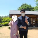 하동 가볼만한 곳 매암제다원, 사진스팟도 많고 힐링도 되고