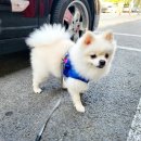 아빠세차장 이미지