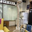 바른몸체형요가 1 이미지