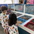 거제 썬스테이풀빌라 펜션 이미지