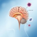 (주)플러스랩에스 이미지