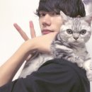 열차와 하루 이미지