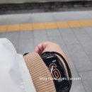 파타리제이 | 노트르담드파리 대구 막공 후기